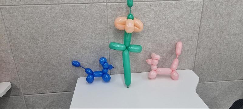 IMG_20251120_142547_343.jpg 이미지