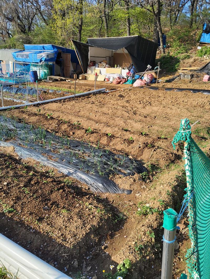 photo_2025-05-20_13-39-23.jpg 이미지