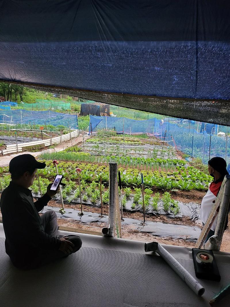 photo_2025-05-20_13-39-50.jpg 이미지