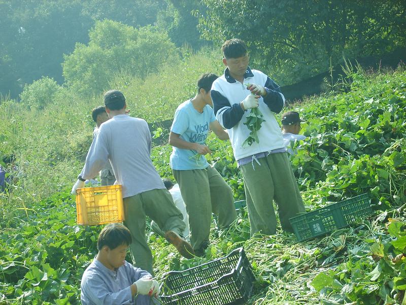 S8002074.JPG 이미지