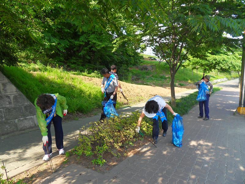 SDC13161.JPG 이미지