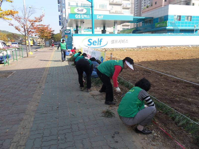 SDC10313.JPG 이미지