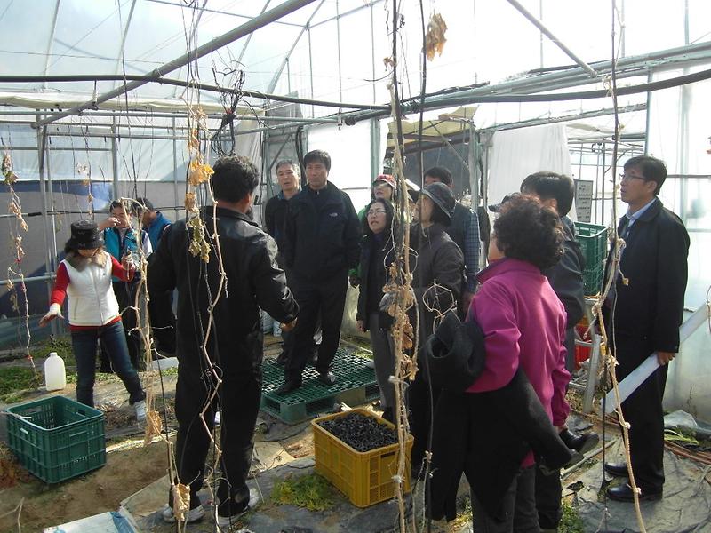 SDC13949.JPG 이미지
