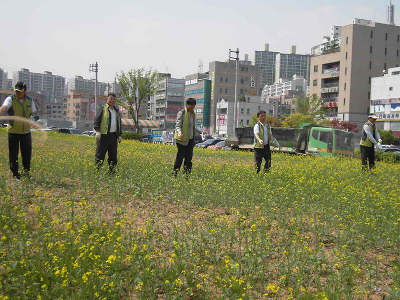 SDC12349.JPG 이미지