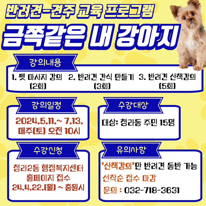 금쪽같은_내_강아지_안내문.png 이미지