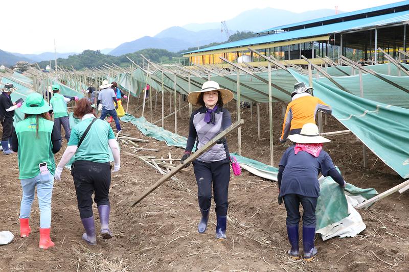 2023.07.25._충청북도_괴산군_수해복구_봉사활동1.jpg 이미지