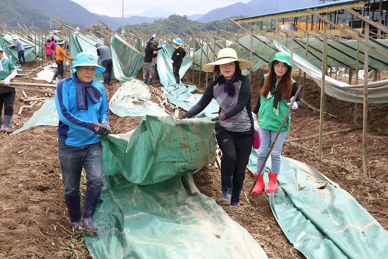 2023.07.25._충청북도_괴산군_수해복구_봉사활동2.jpg 이미지