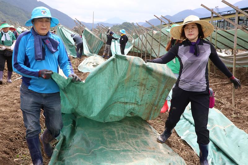 2023.07.25._충청북도_괴산군_수해복구_봉사활동3.jpg 이미지