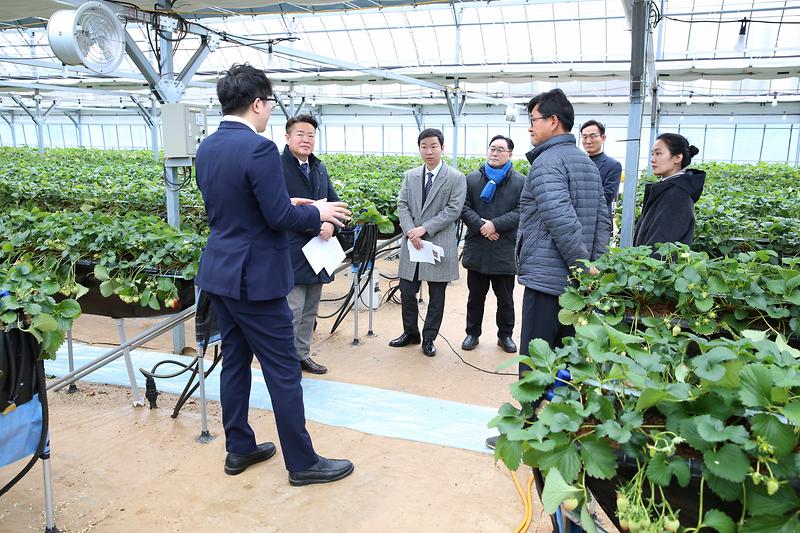 2025.03.05._서구_도시농업_활성화_연구회_현장방문_(3).jpg 이미지