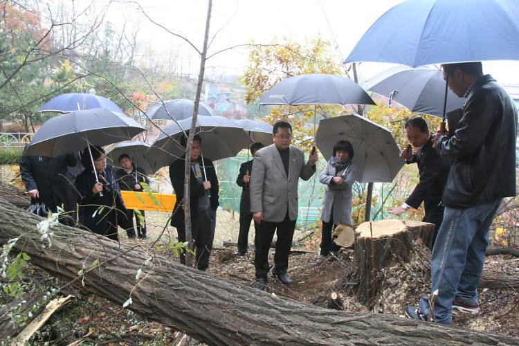 현장방문-청소년 수련관 주변야산 사진