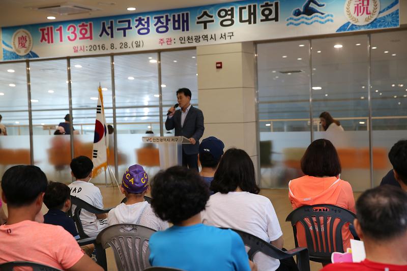제13회 서구청장배 수영대회 사진