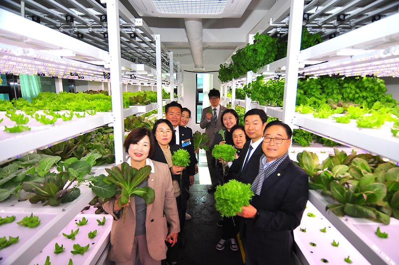 「서구 도시농업 활성화 연구회」 제13차 우수사례 현장견학 사진