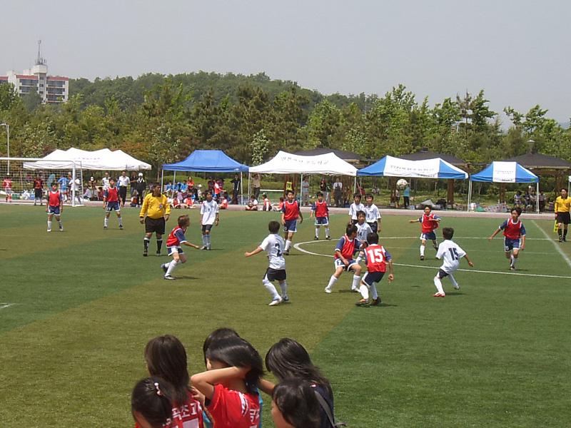 청소년지도위원장기 초등학교 꿈나무 축구대회 사진