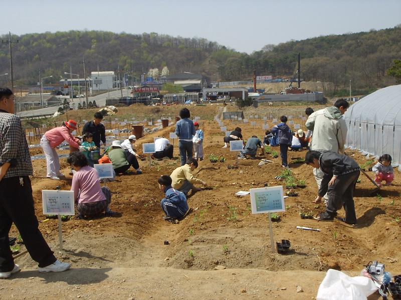 웰빙농장 ''남새밭''가꾸기(4.22) 사진