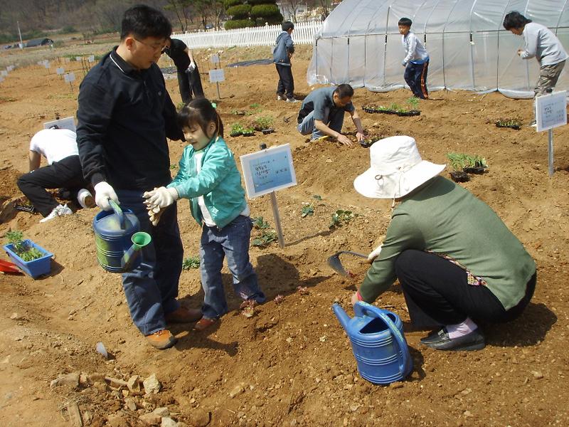 웰빙농장 ''남새밭''가꾸기(4.22) 사진