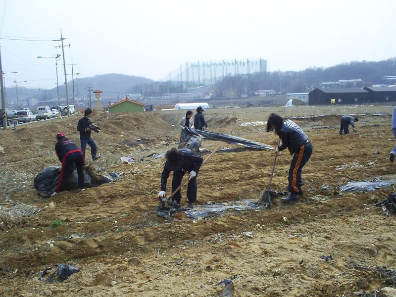 남새밭 비료주기 실시(1) 사진