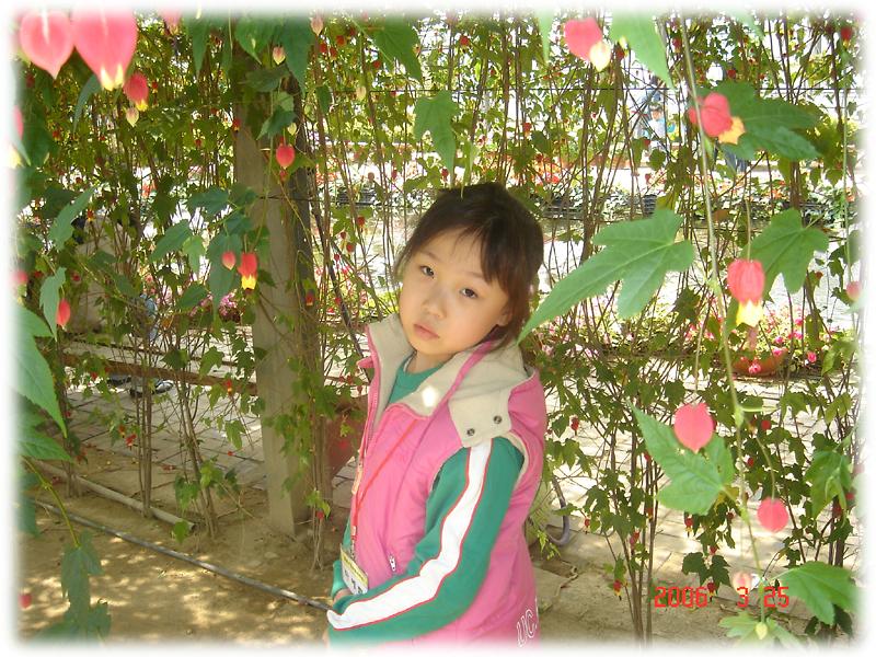 테마기행-세번째 꽃식물원 사진