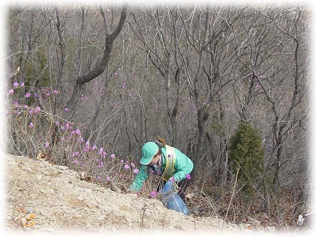 검바위 산악회 사진