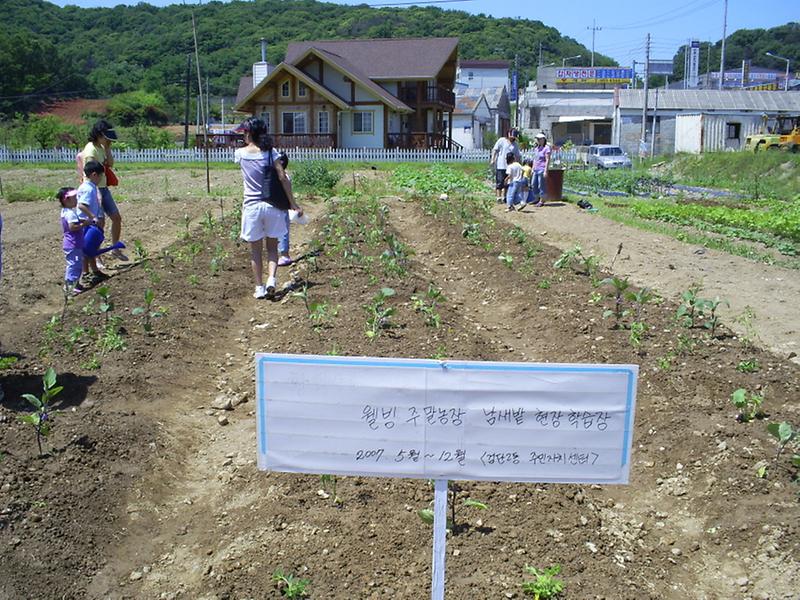 남새밭 가꾸기(8)-모종심기 완료 사진