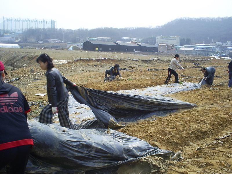 남새밭 비료주기(2) 사진
