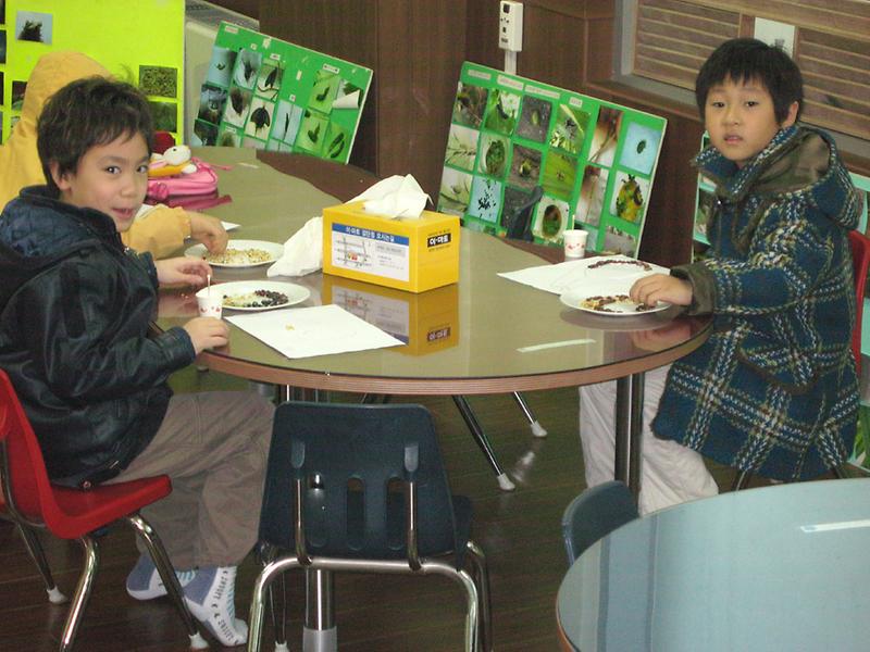 겨울방학 특강 사진 모음-생태교실 사진