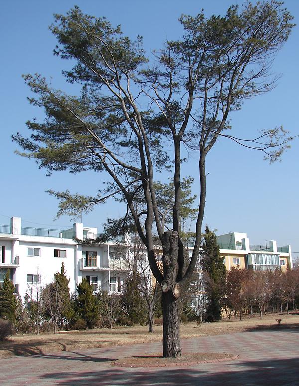 두번째 테마기행 중 잠사 과학박물관에서.. 사진