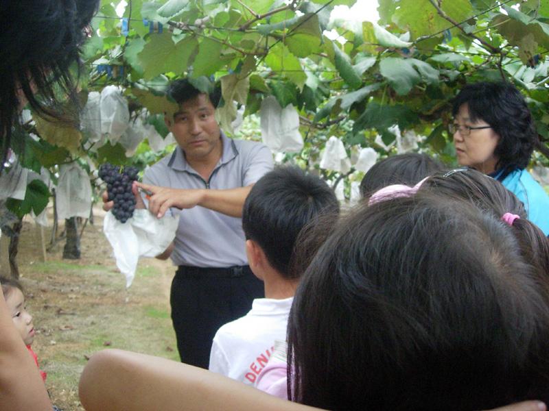 생태환경지킴이 체험학습(포도농장) 사진