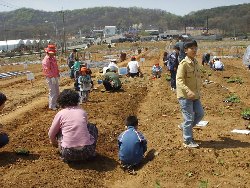 웰빙농장 ''남새밭''가꾸기(4.22) 사진