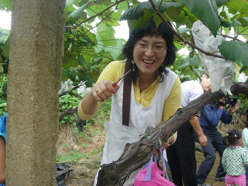 생태환경지킴이 체험학습(포도농장) 사진