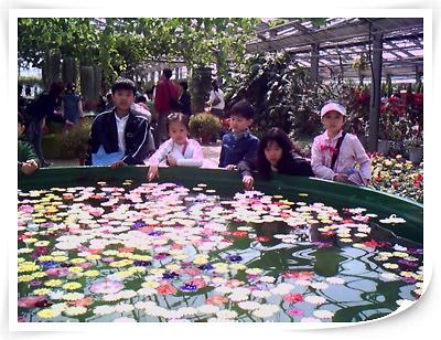 테마기행-세번째 꽃식물원 사진