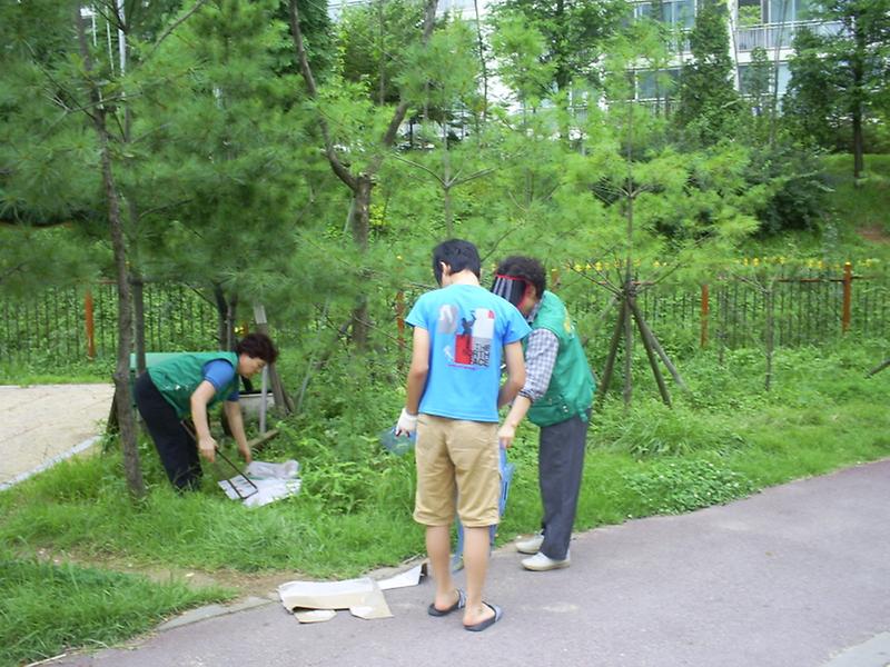 기초질서생활화-대청소실시(2007.8.13) 사진