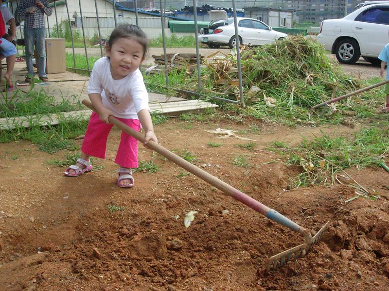 웰빙농장 ''남새밭'' 배추모종 실시(밭갈이) 사진