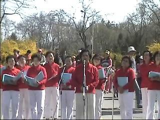2006승학길차없는거리8.jpg 이미지