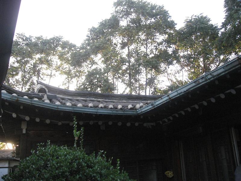 300년 고택 아래서 (2008.10.10) 사진