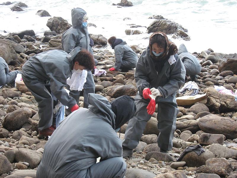 태안봉사활동(2008.1.15) 사진