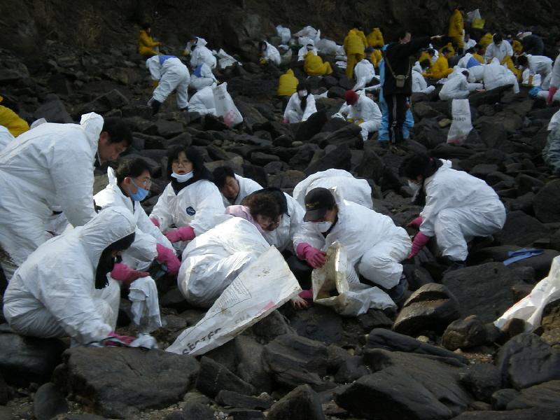 기름유출피해지역 자원봉사 실시(2008.1.4) 사진