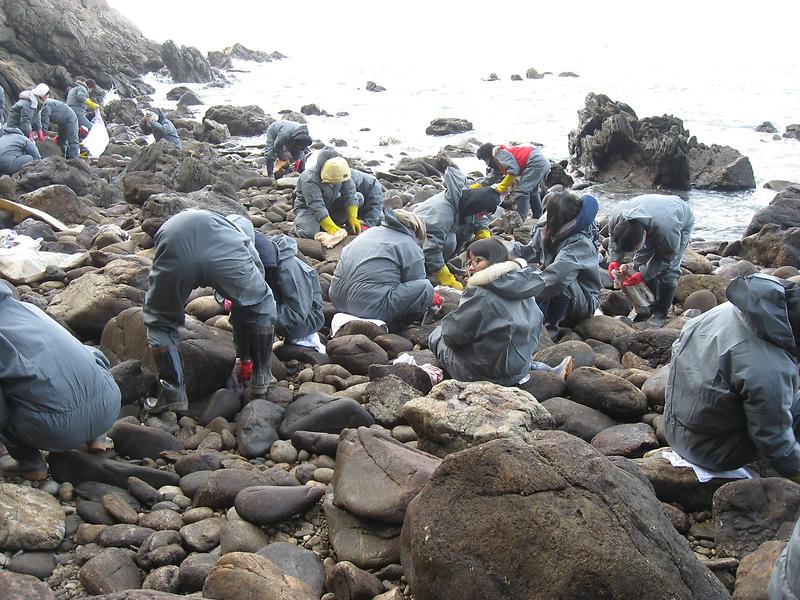 태안봉사활동(2008.1.15) 사진