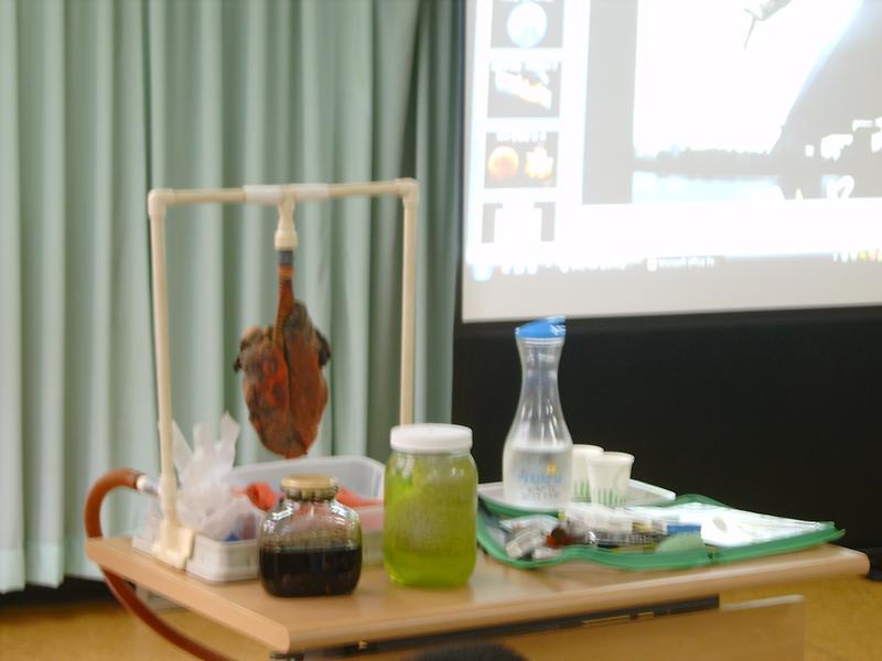 풀뿌리마을학교(2008.8.13) 사진