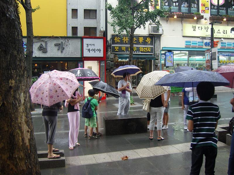 2009년 제2기 서동이 체험단 사진