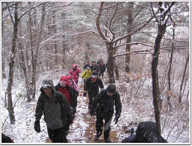 승학산악회 11월 산행 사진