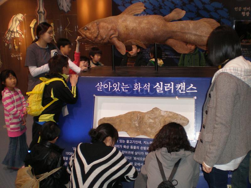 황화산골 꿈나무체험단 다윈전시관 견학 사진