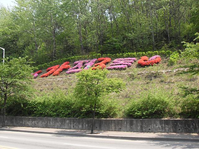 가정3동 글자화단 조성 사진