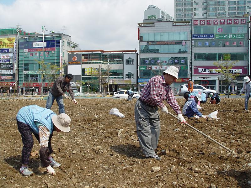 녹색성장 꽃밭 만들기 사진