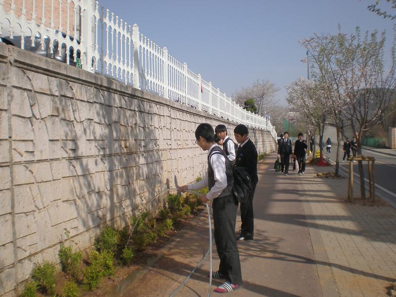 4월 17일 아름다운 마을가꾸기 수목식재 사진