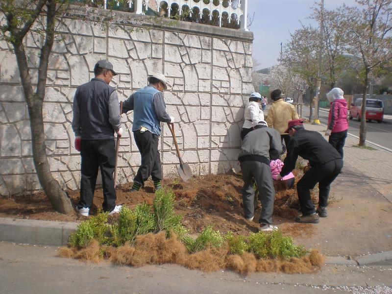 4월 17일 아름다운 마을가꾸기 수목식재 사진
