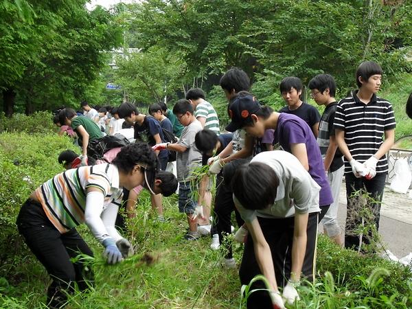 자원봉사센터의 슈퍼 그린 주니어 사업과 연계한 우리 동네 가꾸기 사업 사진