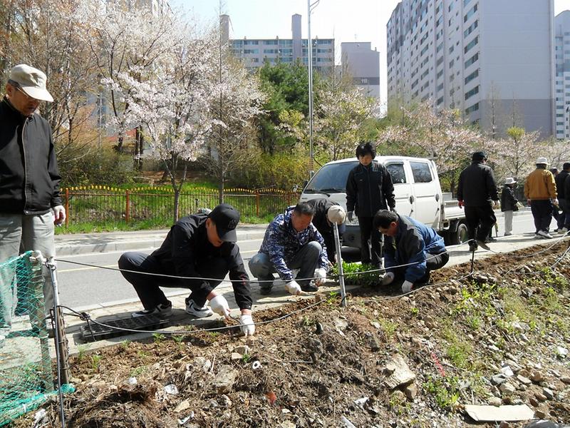 [우리 동네 가꾸기 사업]-문화의 거리2 사진