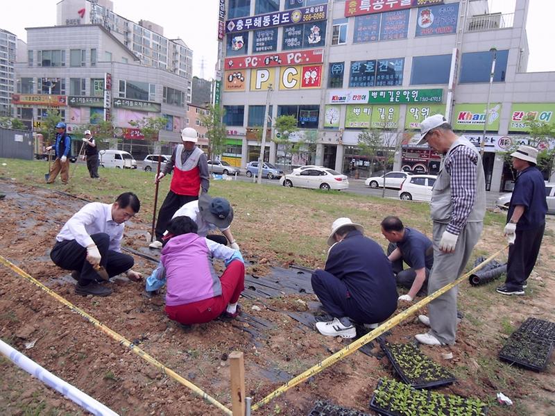 [우리 동네 가꾸기 사업]-마산부락 공터3 사진