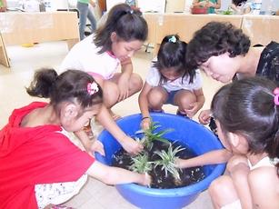 불로초교 우리 아이 함께 키우기 사업과 연계한 지역공동체 사업 사진