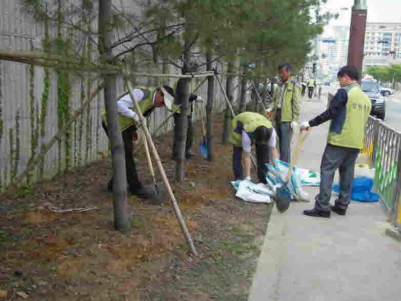 당하중학교 담장 수목 가꾸기 활동 사진